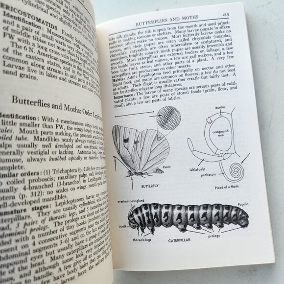Peterson Field Guide Insects of America North of Mexico Vintage Book Entomology - Picture 11 of 14